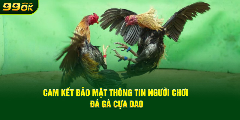 cam-ket-bao-mat-thong-tin-nguoi-choi-da-ga-cua-dao.jpg