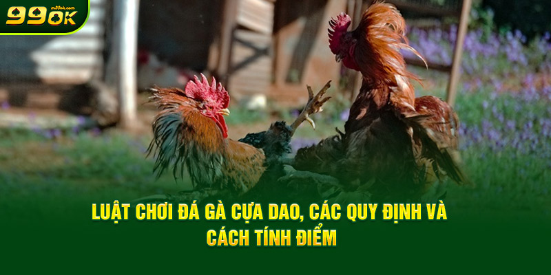 luat-choi-da-ga-cua-dao-cac-quy-dinh-va-cach-tinh-diem.jpg