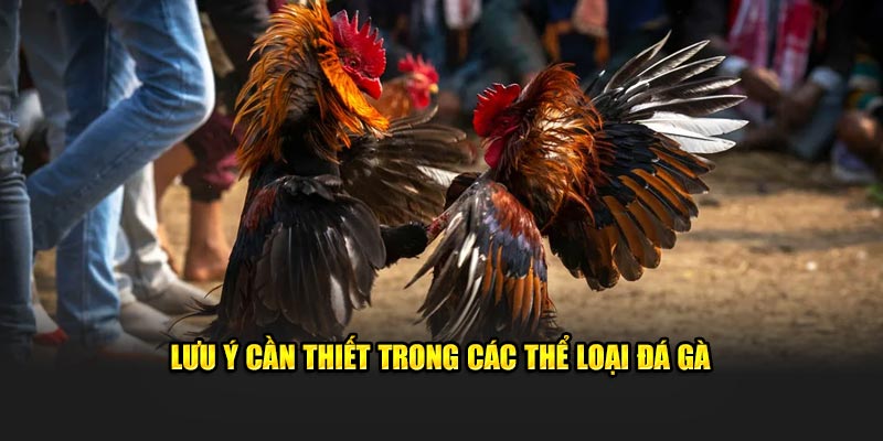 luu-y-can-thiet-trong-cac-the-loai-da-ga.jpg