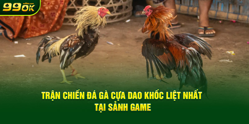 tran-chien-da-ga-cua-dao-khoc-liet-nhat-tai-sanh-game.jpg